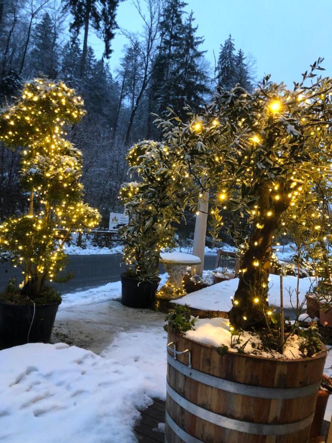 Swiss Star Home Illnau-Effretikon Eksteriør bilde